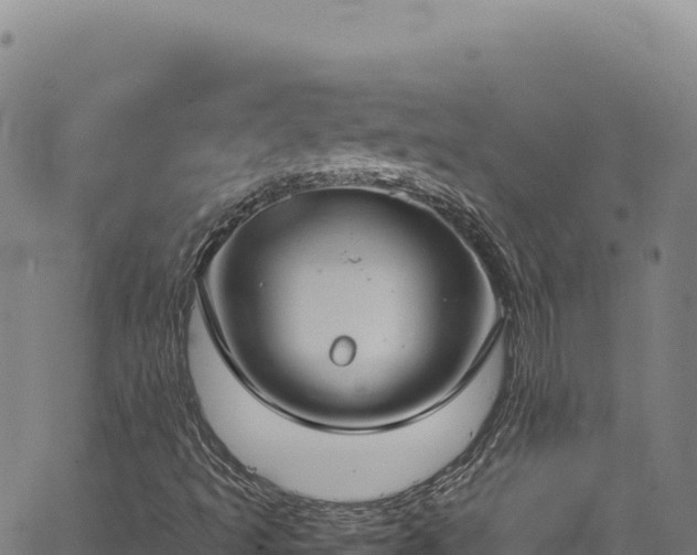 X0000064771493200602131303