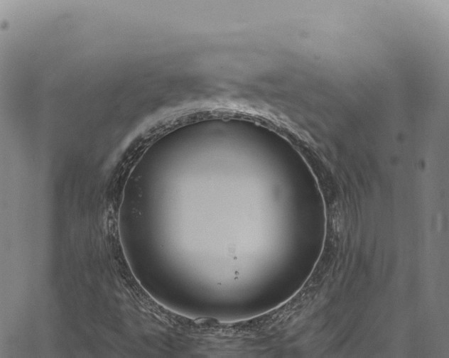 X0000064771495200602131303