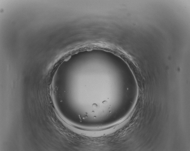 X0000064771496200602131303