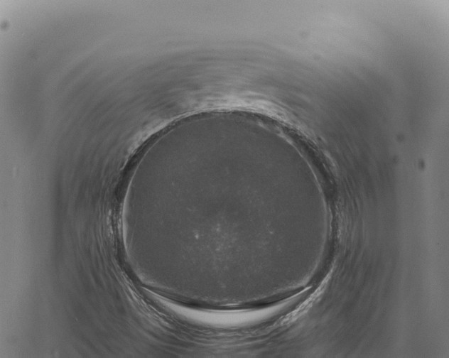 X0000064771497200602131303