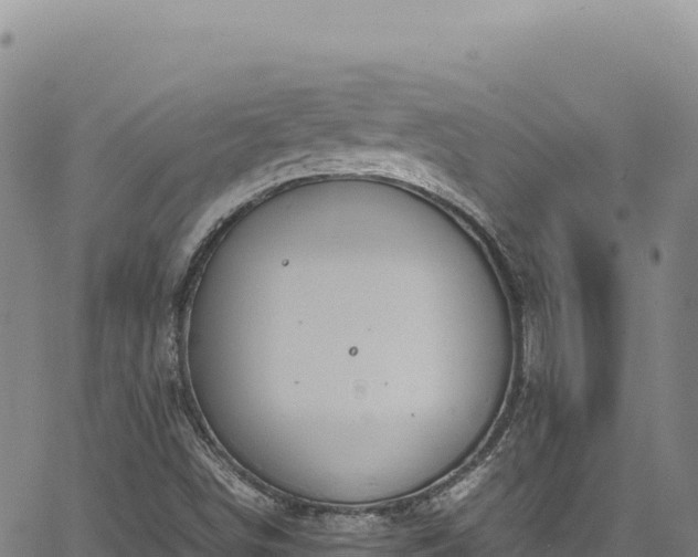 X0000064771498200602131303