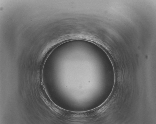 X0000064771499200602131303