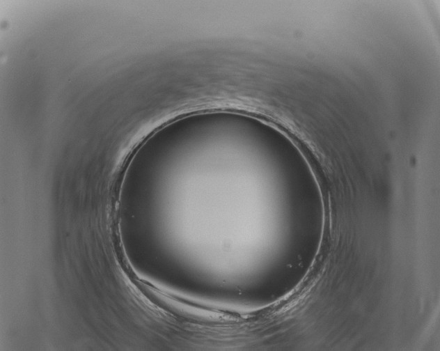 X0000064771500200602131303