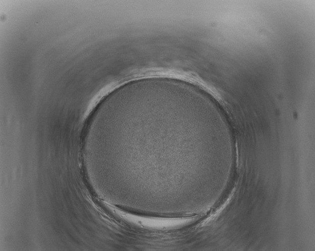 X0000064771501200602131303