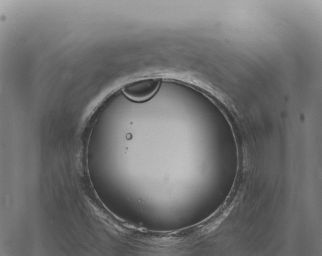 X0000064771502200602131303