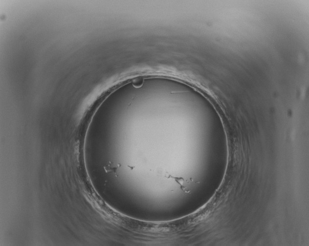 X0000064771503200602131303