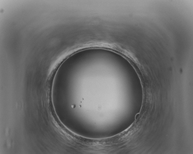 X0000064771504200602131303