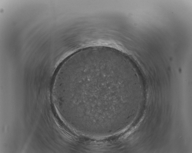 X0000064771505200602131303