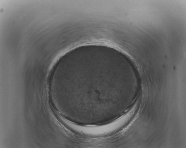 X0000064771506200602131303