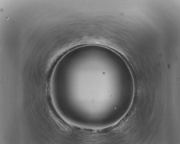 X0000064771507200602131303