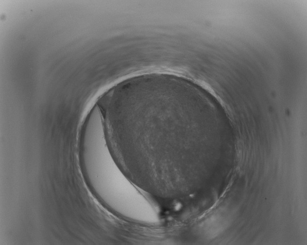 X0000064771508200602131303