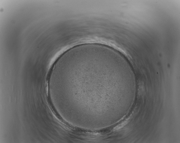 X0000064771509200602131303