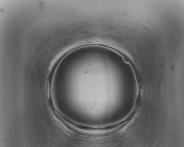 X0000064771510200602131303