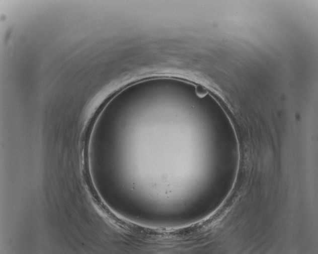 X0000064771511200602131303