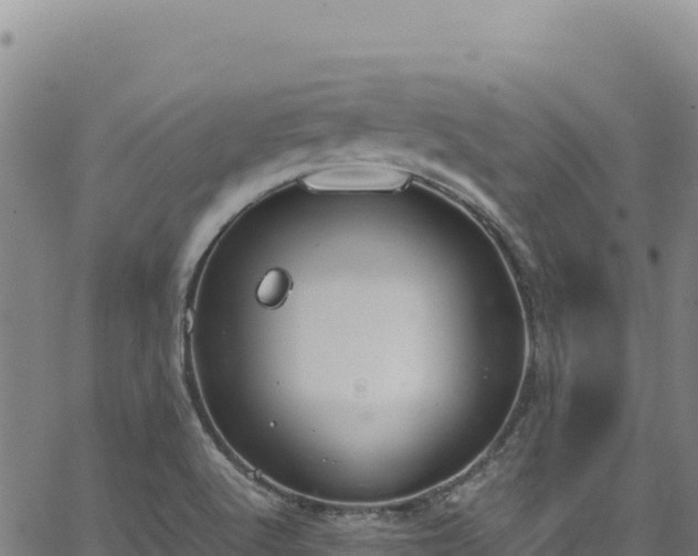 X0000064771512200602131303