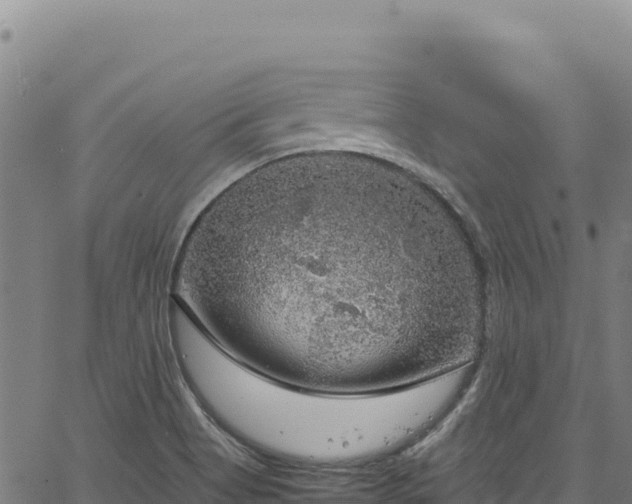 X0000064771513200602131303