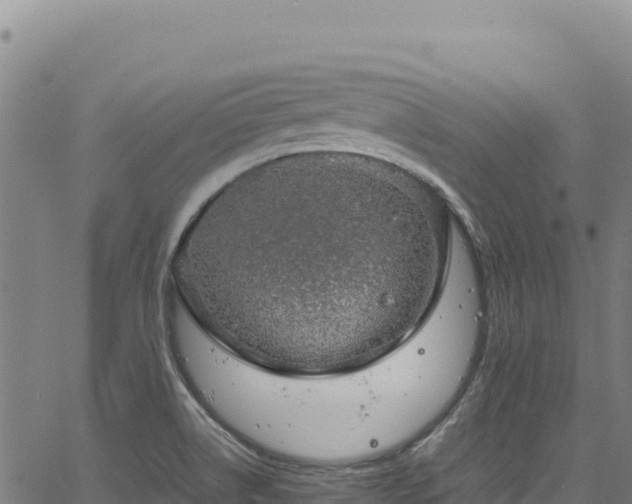 X0000064771514200602131303