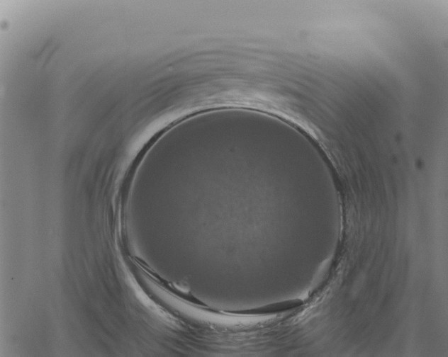 X0000064771515200602131303