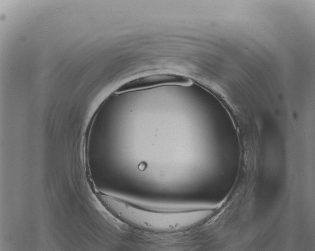 X0000064771516200602131303