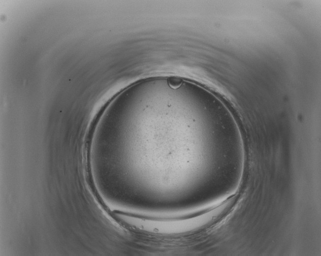 X0000064771517200602131304