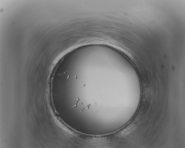 X0000064771518200602131304