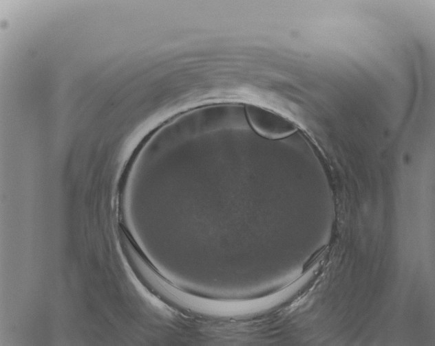 X0000064771519200602131304