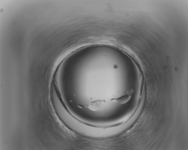 X0000064771520200602131304