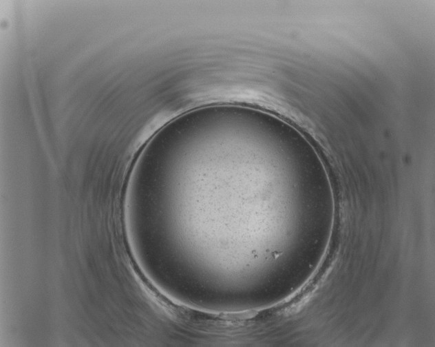 X0000064771521200602131304