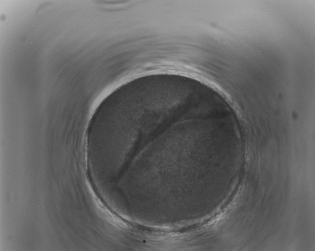 X0000064771522200602131304