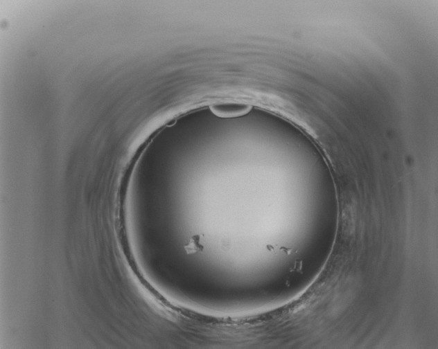 X0000064771523200602131304