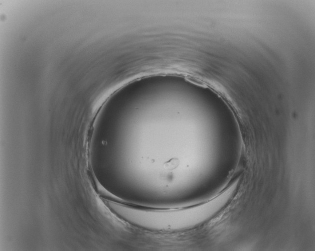 X0000064771524200602131304