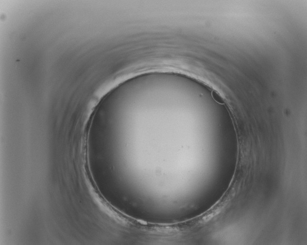 X0000064771526200602131304