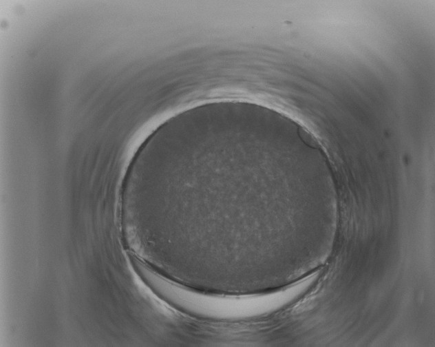 X0000064771527200602131304