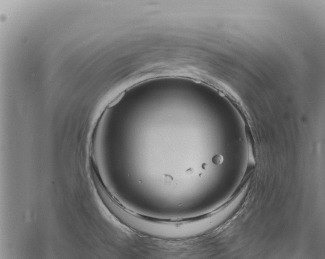 X0000064771528200602131304