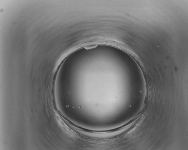 X0000064771530200602131304