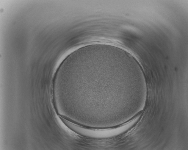 X0000064771531200602131304