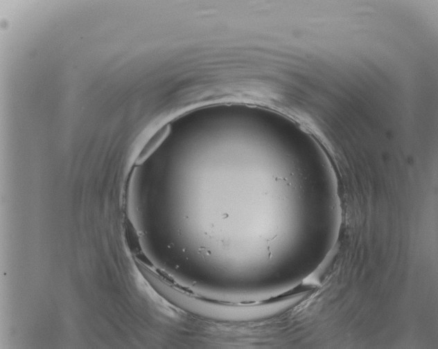 X0000064771532200602131304