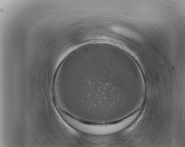 X0000064771533200602131304