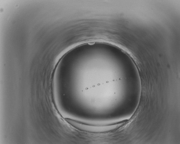 X0000064771534200602131304