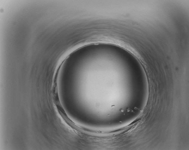 X0000064771536200602131304