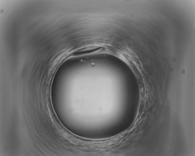 X0000064770001200602171836