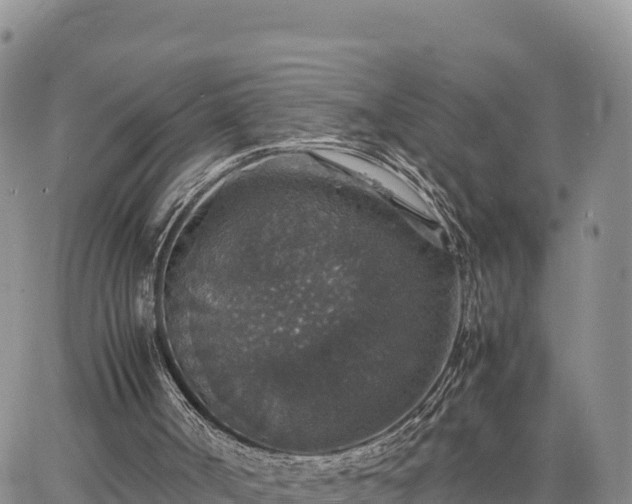 X0000064770002200602171836