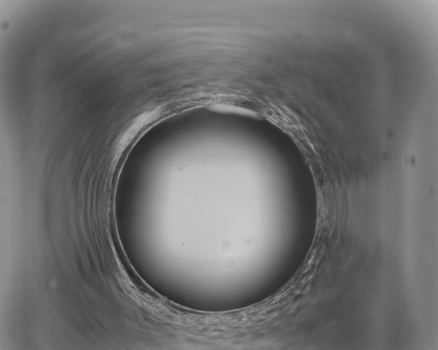 X0000064770003200602171836