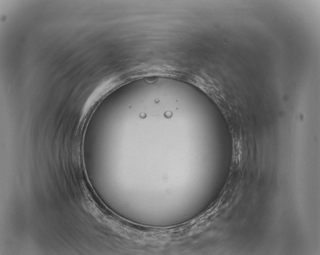 X0000064770004200602171836