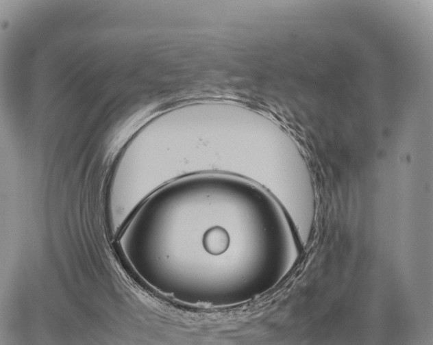 X0000064770005200602171836