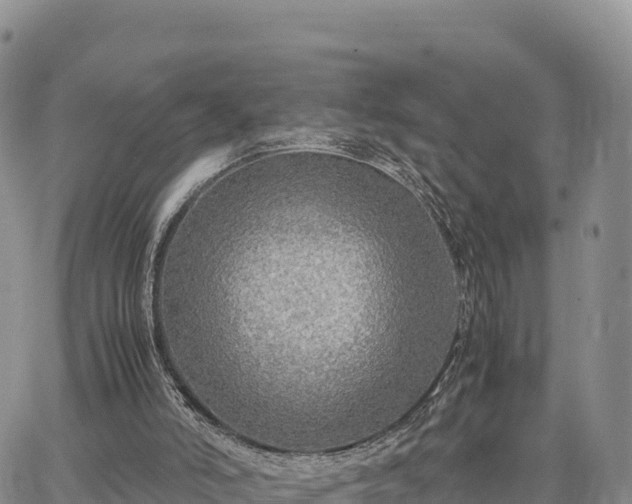 X0000064770006200602171836