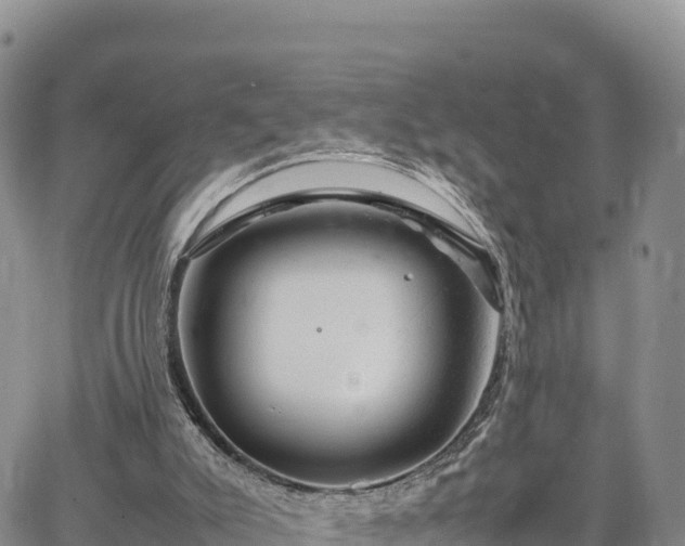 X0000064770007200602171836