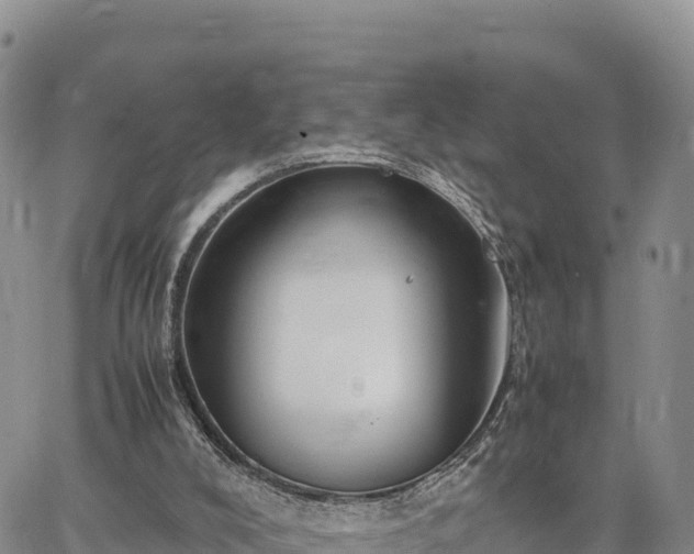 X0000064770008200602171836