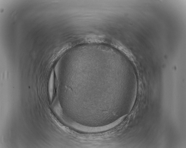 X0000064770009200602171836