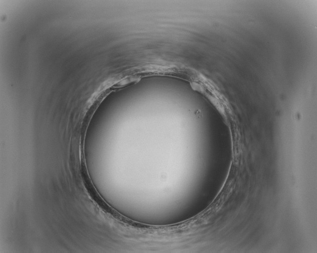 X0000064770011200602171836